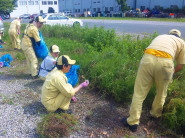 Environmental beautification activities