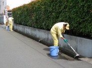 Environmental beautification activities