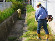 Environmental beautification activities